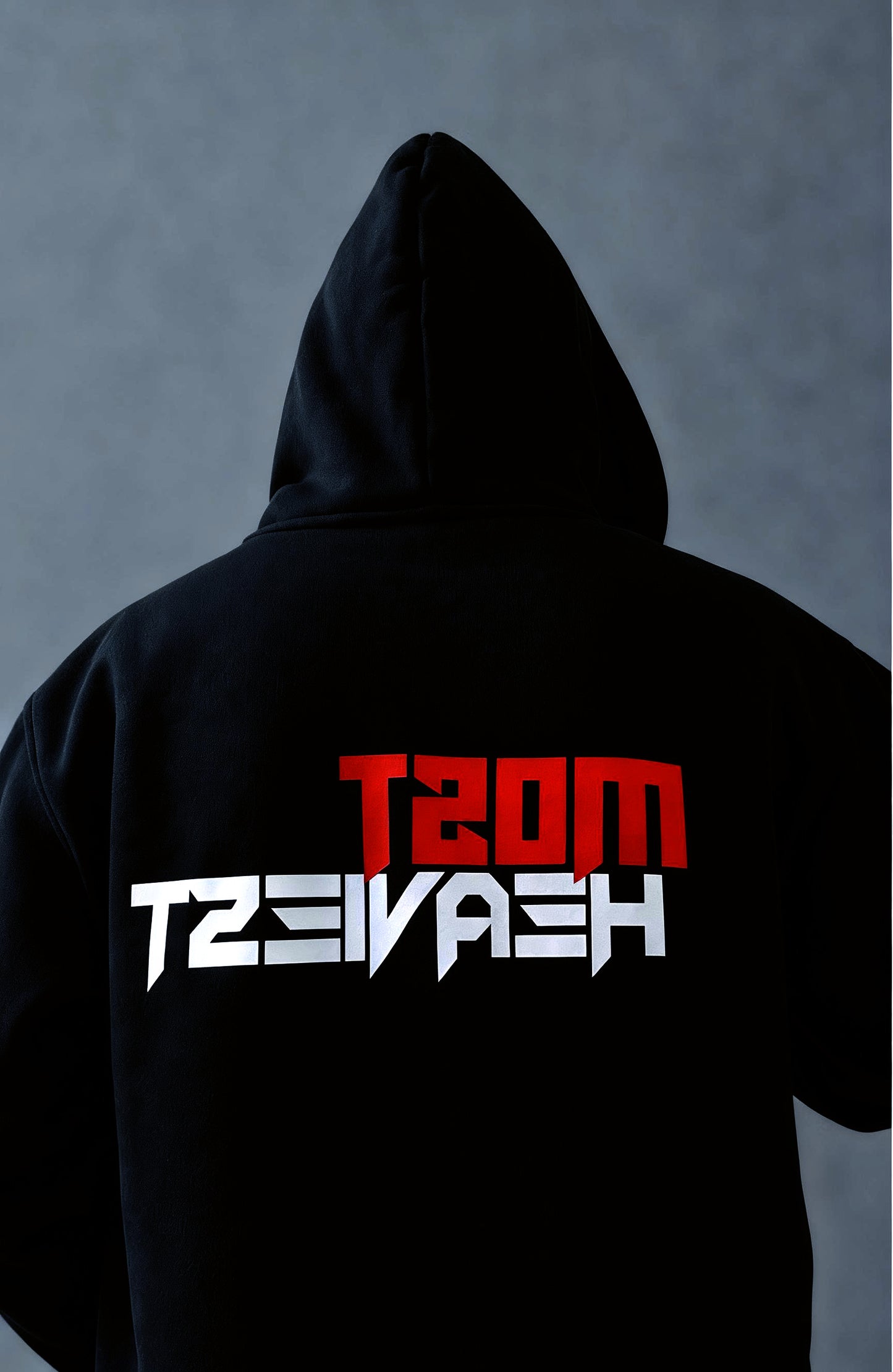 MOST HEAVIEST HOODIE
